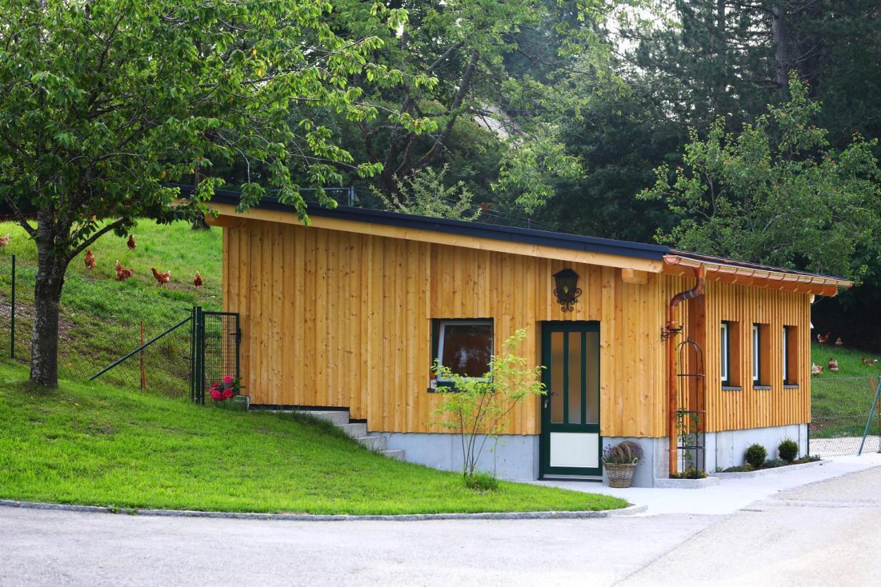 Apartament Attwengerhof Traunkirchen Zewnętrze zdjęcie