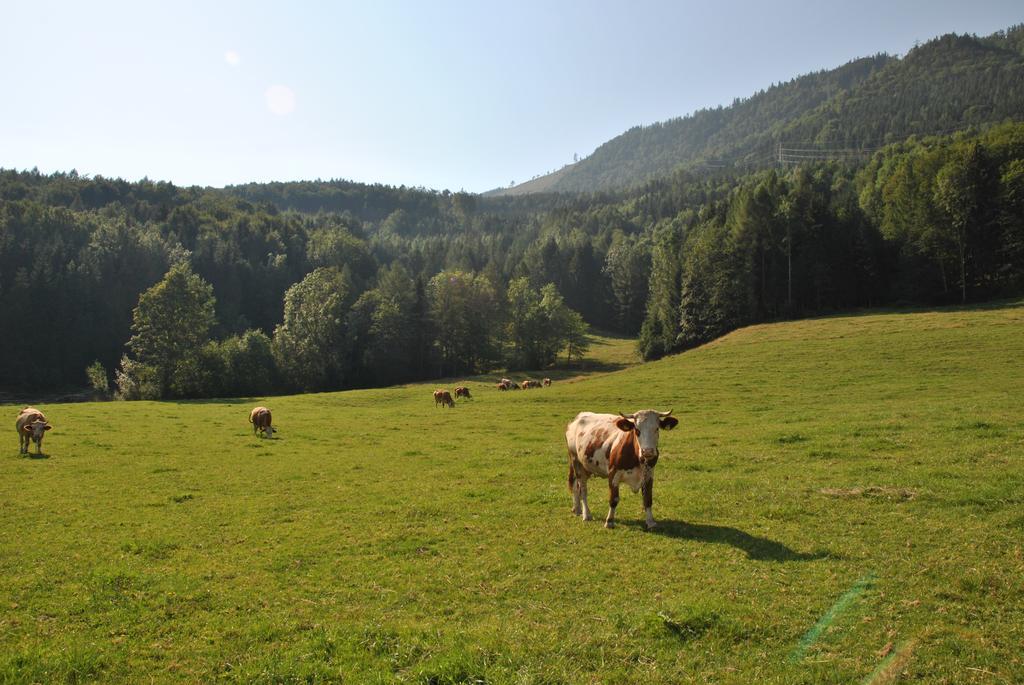 Apartament Attwengerhof Traunkirchen Pokój zdjęcie
